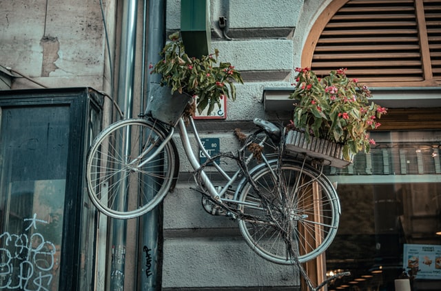 Bicikli egy falon, virágokkal